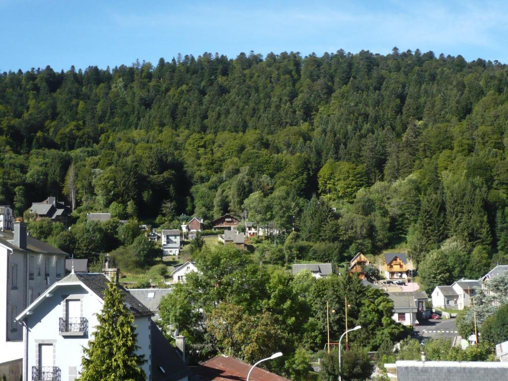 Residence Wilson Le Mont-Dore Δωμάτιο φωτογραφία